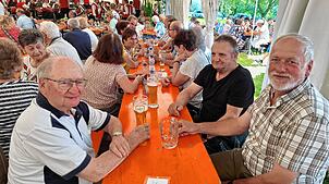 Bild : Bestes Wetter und beste Stimmung beim Dorffest in Limpach im Deggenhausertal - Die schönsten Bilder!
