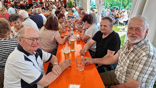 Bild 2: Bilder vom Dorffest: Bestes Wetter und beste Stimmung beim Dorffest in Limpach im Deggenhausertal