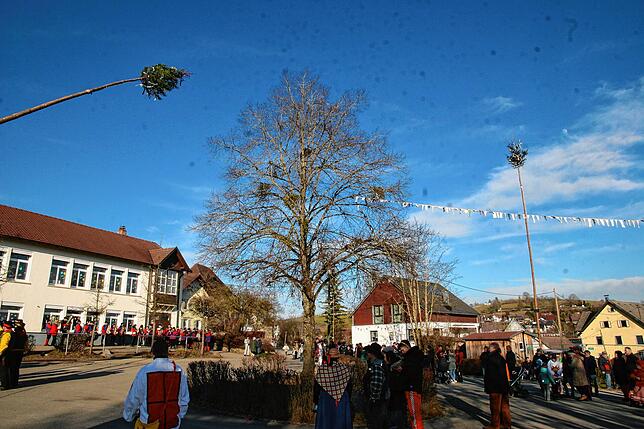 Bild 3: Weitere Bilder vom Stellen des Jubiläumsbaums durch die Froschzeller Holzer