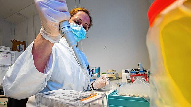 Eine biologisch-technische Assistentin bereitet die Sequenzierung von positiven PCR-Tests vor (gestellte Szene). Nicht alle positiven ...