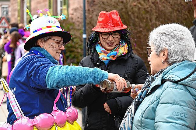 Bild 3: Großer Umzug in Tennenbronn mit 20 Musik- und Narrengruppen