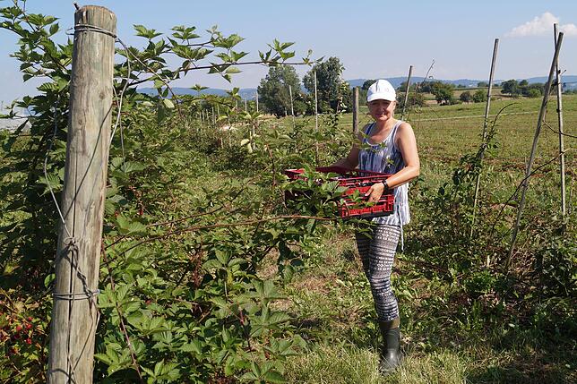 Renata bringt eine Kiste mit frisch gepflückten Brombeeren auf den Hof. Sie spricht Deutsch und dient als Dolmetscher.