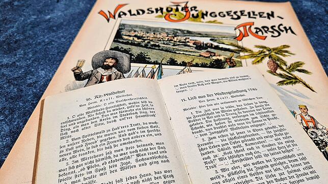 Im Traditions-Lied der Junggesellen und Alt Waldshut heißt es in der zweiten Strophe: „Vom Spittelwald zu Habers‘ Trott da ...