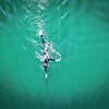 Der Bodensee lockt im Sommer viele Hobby-Wassersportler wie diesen Freiwasserschwimmer an. Doch wie für Boote und Schiffe gelten auch ...