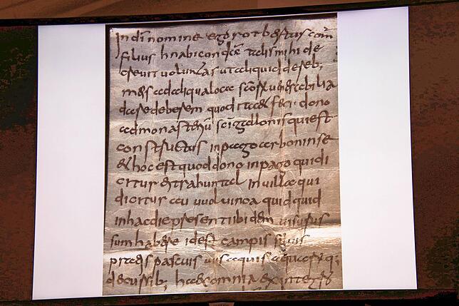 Das Corpus Delicti: In dieser Urkunde aus dem Jahr 773 wird erstmals Überlingen (“Iburinga“) erwähnt.