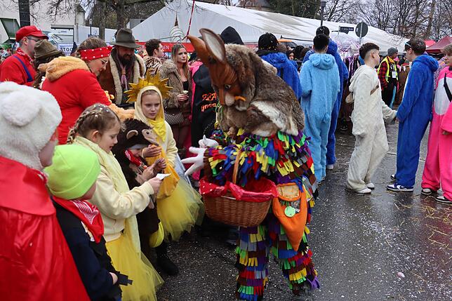 Bild 3: Großer Festumzug in Möggingen: Tausende besuchen das Seenarrentreffen trotz Regen!