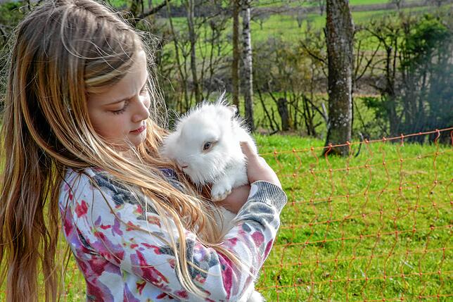 Ein Paradies für Kinder und Tiere: Emily Wolf, 7, kuschelt mit einem Kaninchen.