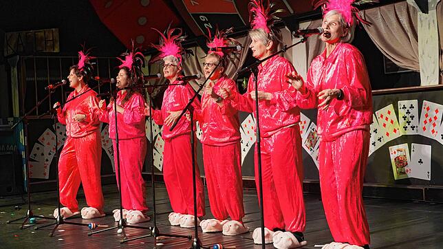 Showgirls: Die &bdquo;6 am Hochrhy&ldquo; Melanie Boese, Tina Ebner, Nicole Affolter-Nickel, Christine Roth, Martina Schneider und ...