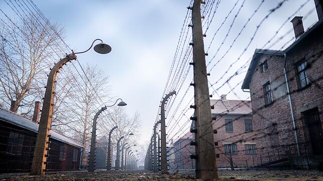1945 wurde das Konzentrationslager Auschwitz befreit. Seither gibt es immer wieder Stimmen, wonach es genug sei mit dem Gedenken. Doch ...
