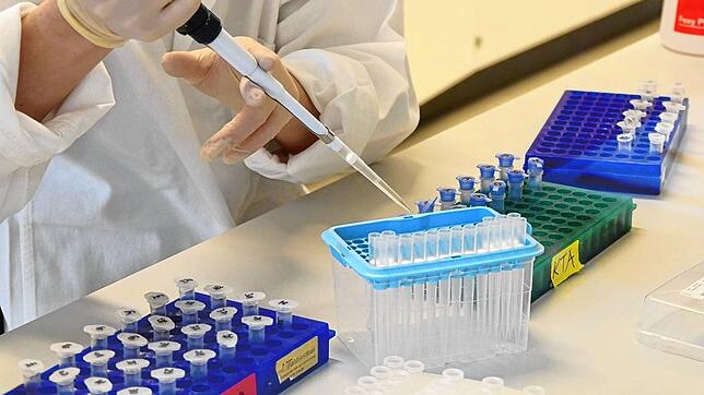Analyse eines Abstrichs auf Sars-CoV-2 im Labor.