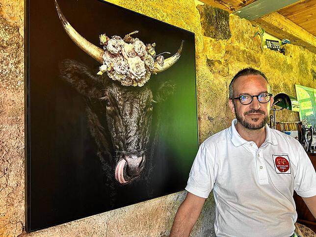 Die große Portraitaufnahme von Ruko hängt im Haus der Peltzers. Das Wagyurind war eines der ersten aus Stephan Peltzers Herde. Auf dem ...