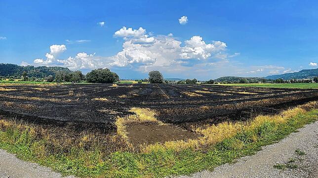 Das abgebrannte Gerstenfeld bei Ramsen im Kanton Schaffhausen. Ein Teil der Ernte ist futsch.