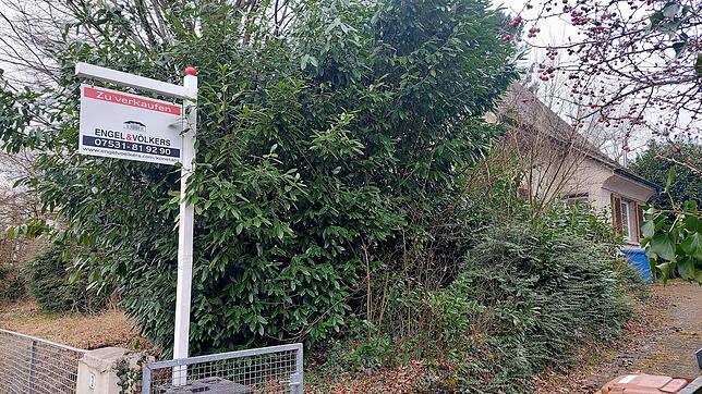 Dieses Grundstück mit einem alten Haus und hohen Bäumen im Staader Renkenweg ist zu haben. Dabei hatte ein Bauherr schon konkrete Pläne, ...
