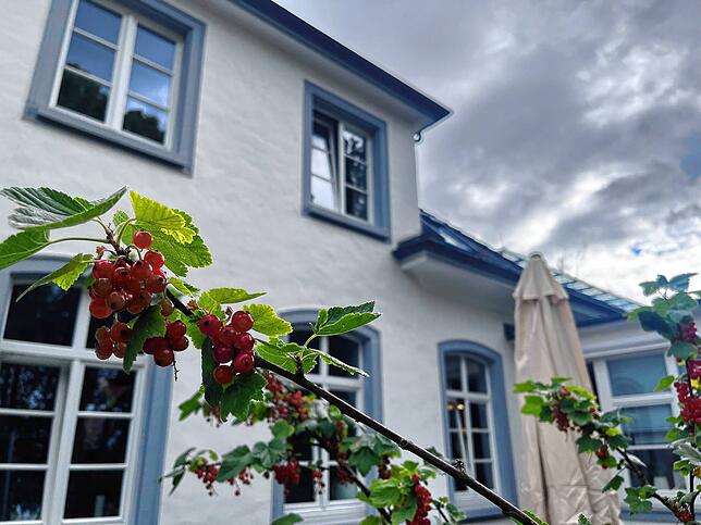 Naturidylle vor der Kikripp mit eigenen Johannisbeeren im Garten. Im Villinger Stadtwald wird als Ableger eine weitere Kita in einem ...