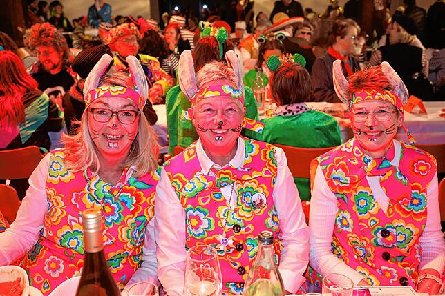 Bild 18: Bitte Platz nehmen! Kurz vor der Live-Übertragung der Konstanzer Fasnacht füllen sich die Reihen