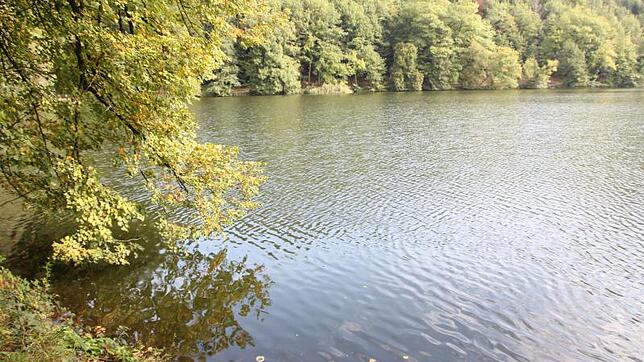 Der Bad Säckinger Bergsee ist nicht nur ein beliebtes Naherholungsgebiet, sondern auch für die Wissenschaftler ein interessantes ...