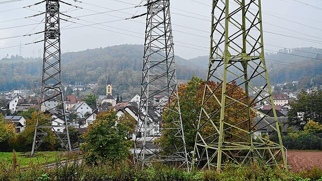 Nicht nur diese drei Leitungsmasten, sondern auch andere 220-kV-Freileitungen, die über die Ortsbebauung von Gurtweil verlaufen, werden ...