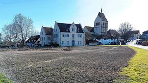 In diesem Bereich nordwestlich des Reichenauer Münsters könnte der frühere Klosterhafen gewesen sein, vermuten Archäologen. ...