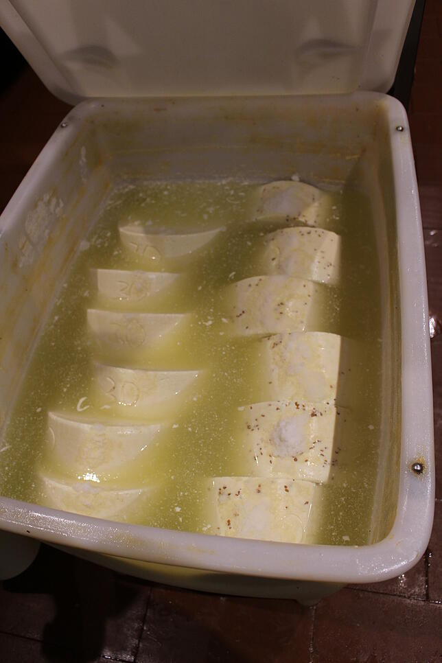 Wie dieser Schafskäse nimmt auch der Hartkäse ein Bad in der Salzlauge. Allerdings etwas länger: Er wird zwei Tage im Salz bleiben.