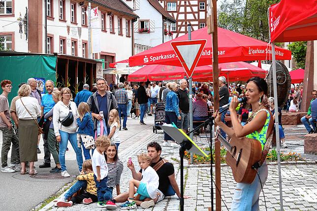 Bild 2: Bunt, musikalisch, lustig: So großartig war der Straßenmusiksonntag