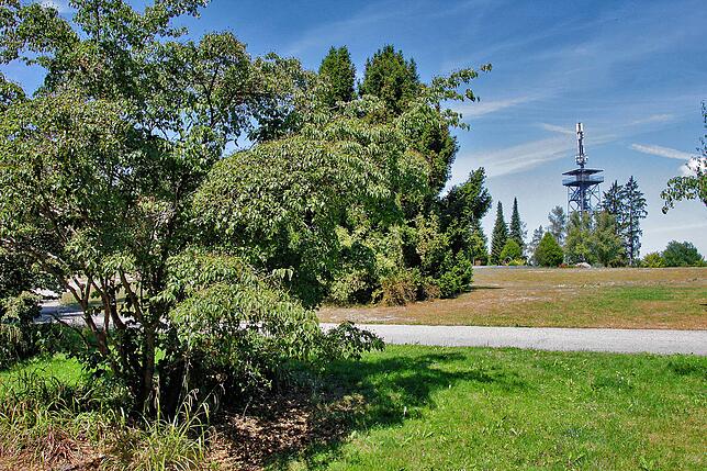 Bild 7: Rosengarten, Aussichtsturm und Spielvergnügen: So schön ist es nur auf dem Villinger Hubenloch