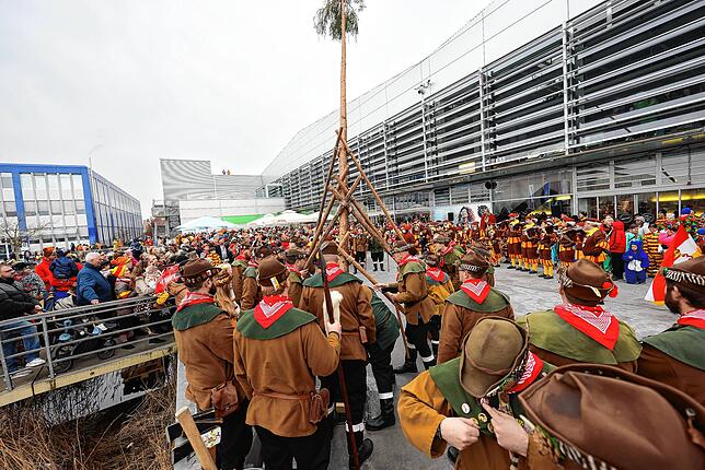 Bild 2: Bilder vom Kindernarrenbaum-Stellen in Radolfzell