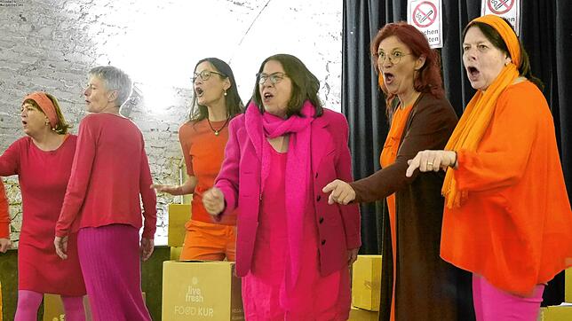Die Theatergruppe „Rolle vorwärts“ unter der Leitung von Theaterpädagogin Lilo Braun probt im Meßkircher Schlosskeller für das neue ...