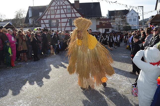 Bild 21: Eigeltinger Narrentage: Der Sonntagsumzug in Bildern (2)