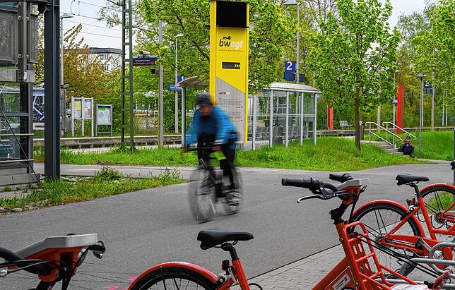 Bild 1: Sie sind kaum zu übersehen. In Konstanz stehen nun diese großen, gelben Säulen. Wozu dienen sie?