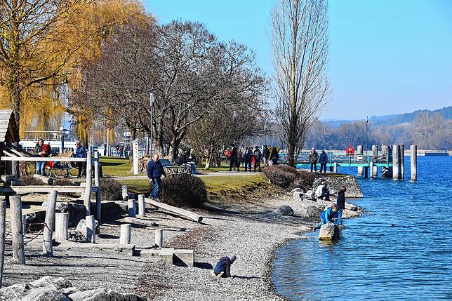 Bild 17: Reinfahren, suchen, scheitern, rausfahren: Massenweise Autos auf der Umleitung in Bodman und eine halbe Völkerwanderung vom Weilerkapellen-Parkplatz zum See
