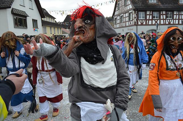 Bild 11: Eigeltinger Narrentage: Der Sonntagsumzug in Bildern (4)