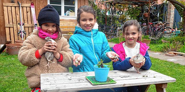 Die Kinder der Familie Manz/Schrade in ihrem Garten mit Wachteln und dem Gelege eines Tages.