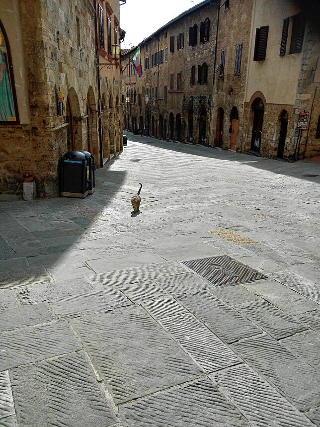 Eine Katze streunt durch die ansonsten einsamen Gassen San Gimignanos: ein ungewohntes Bild.