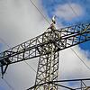 Ein Storch sitzt verloren auf dem Überlandstarkstrommast. Auf der linken Traverse gab es Anfang 2022 noch ein Nest. An der Stelle wurde ...