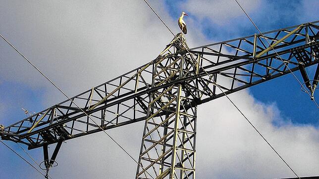 Ein Storch sitzt verloren auf dem Überlandstarkstrommast. Auf der linken Traverse gab es Anfang 2022 noch ein Nest. An der Stelle wurde ...