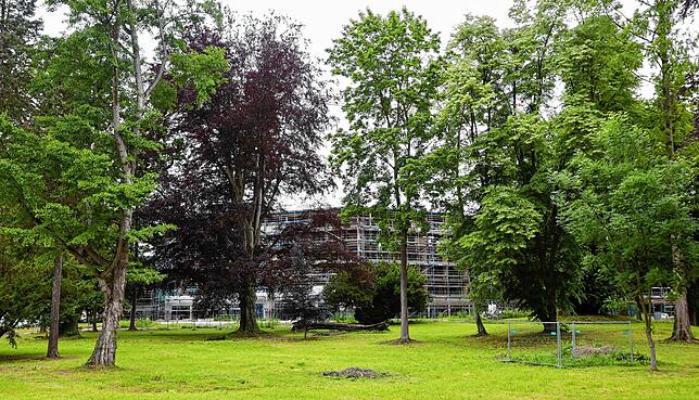 Rund 50 Jahre lag das Büdingen-Areal brach und die Bäume wuchsen. Das Luxus-Gesundheitshotel, das sich noch im Bau befindet, soll ...