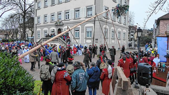 Traditionell mit dem Stellen des Narrenbaumes wird in der Kernstadt Wehr die Fasnacht eröffnet