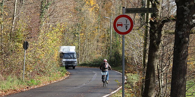 Wo dieses Schild steht, dürfen einspurige Fahrzeuge wie Fahrräder und Motorräder nicht überholt werden.