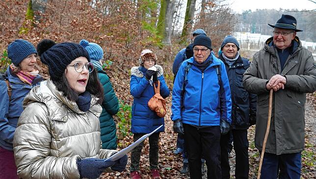 Bild 11: Bilder von der Glühweinwanderung zum Kloster Weppach