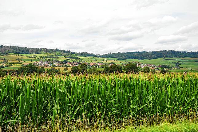 Der Ortsteil Rechberg von Grießen aus gesehen.