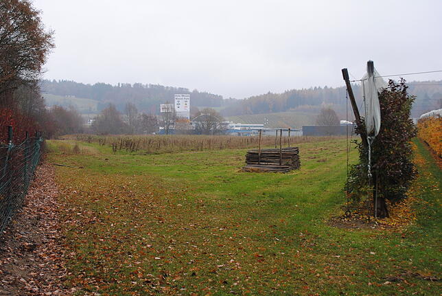 Zwischen Autobahn (links) und Obstanlage (rechts): das Erweiterungsgebiet West im Gewerbegebiet Blumhof.