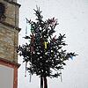 Der Narrenbaum in Bad Säckingen 2021 entstand aus dem Weihnachtsbaum. Der Wälderumzug zum traditionellen Baumstellen musste ausfallen.