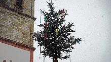 Der Narrenbaum in Bad Säckingen 2021 entstand aus dem Weihnachtsbaum. Der Wälderumzug zum traditionellen Baumstellen musste ausfallen.