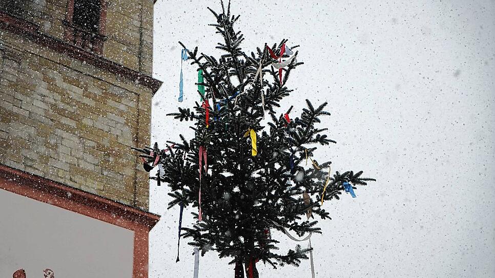 Der Narrenbaum in Bad Säckingen 2021 entstand aus dem Weihnachtsbaum. Der Wälderumzug zum traditionellen Baumstellen musste ausfallen.