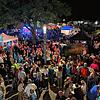 Nach einem verregneten Start herrscht am Samstagabend beim Seefest in Ludwigshafen beste Stimmung. Bilder: Oliver Thum