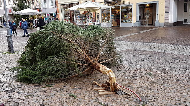 Wer es miterlebte, dem steckte der Schreck in den Gliedern. Am Montag knickte dieser Weihnachtsbaum in der Villinger Fußgängerzone um. ...