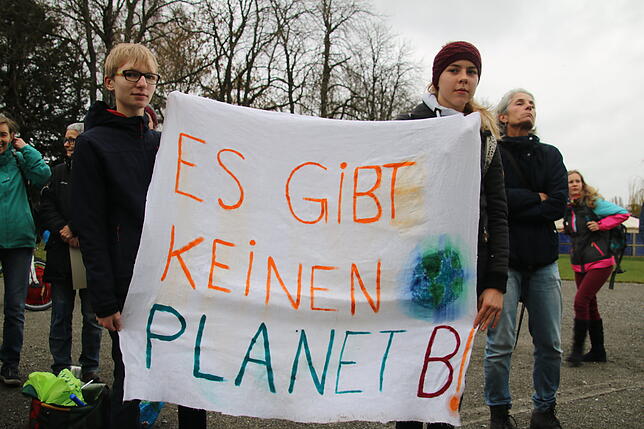 Bild 8: Fridays-for-Future geht in die nächste Runde: Bilder und Videos von der Demonstration in Radolfzell