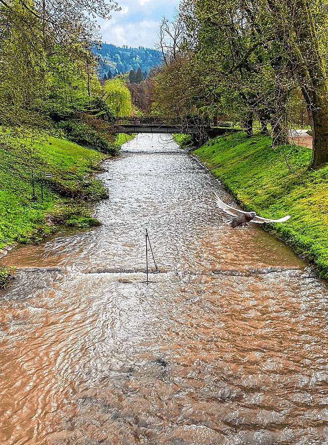 Jan St. Werner: &bdquo;Encourage the Stream.&ldquo;