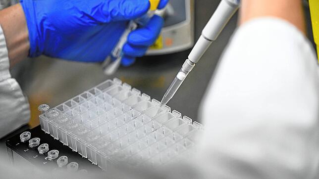 Eine Mitarbeiterin in einem Testlabor bereitet PCR-Tests vor. (Symbolbild).
