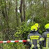 Feuerwehrleute sichern die Unglücksstelle bei Deißlingen am Ostermontag. Im Hintergrund ist die einmotorige Maschine zu sehen.